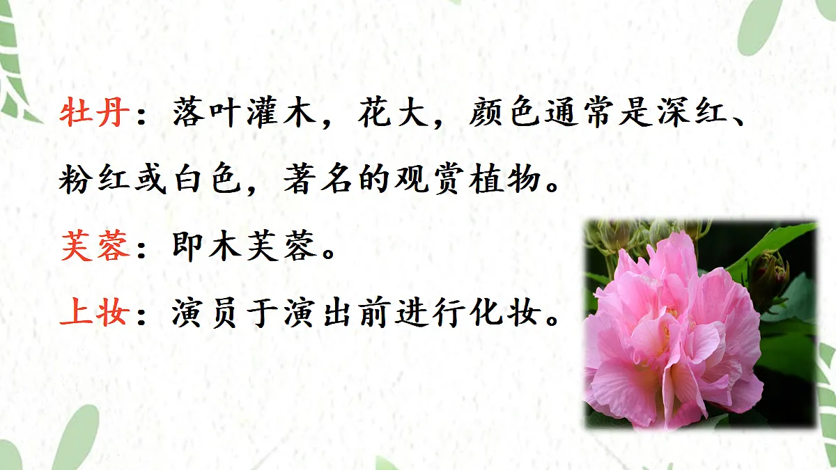 17472559第5页