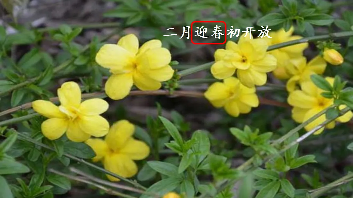 17472559第8页