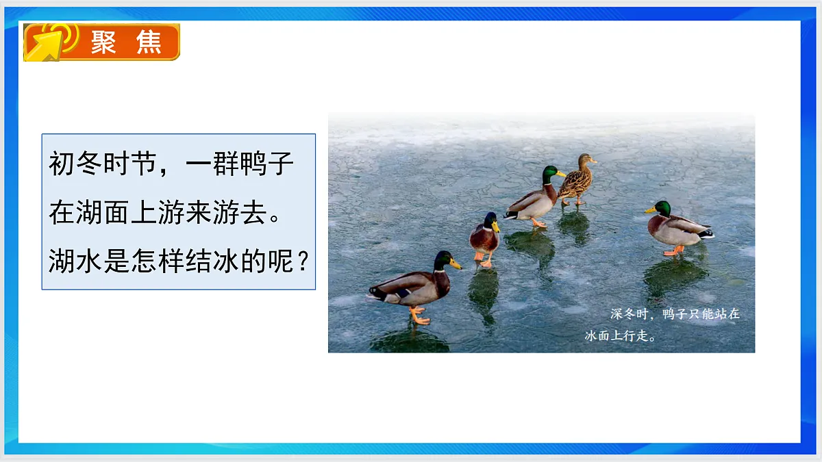 17472667第4页
