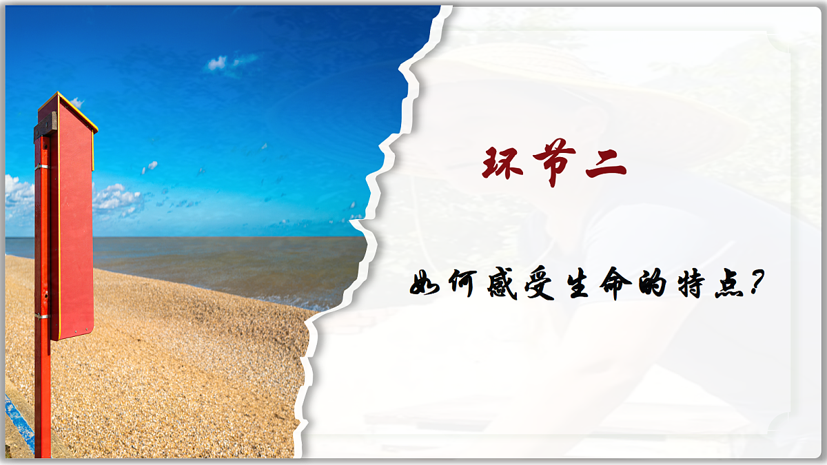 17473147第8页