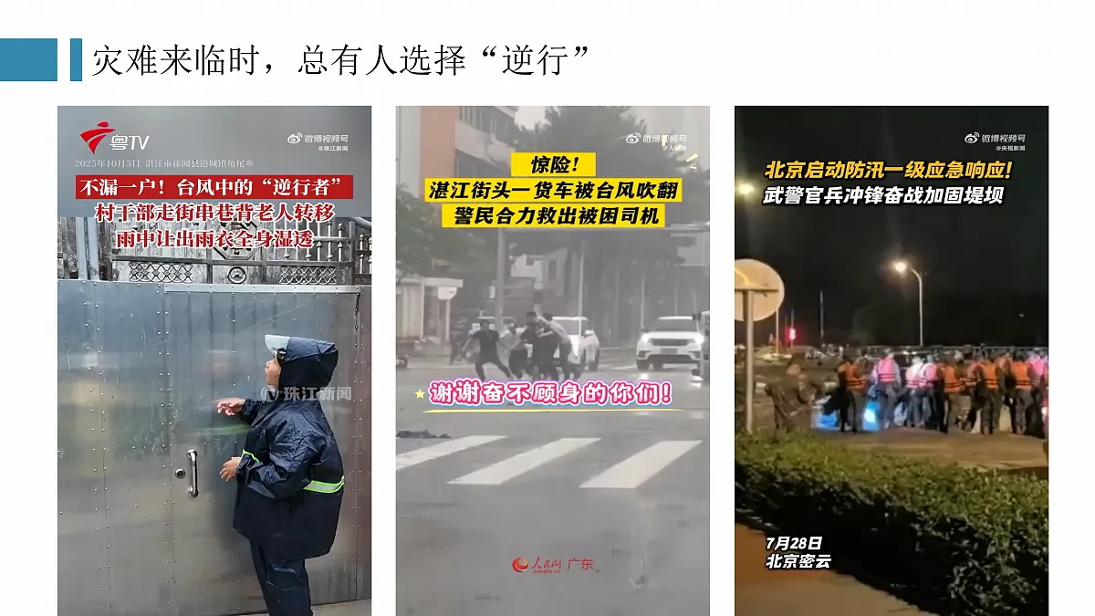 17473157第8页