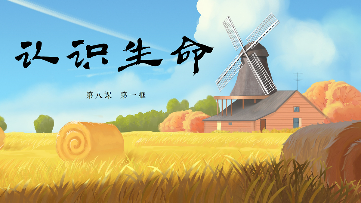17473158第3页