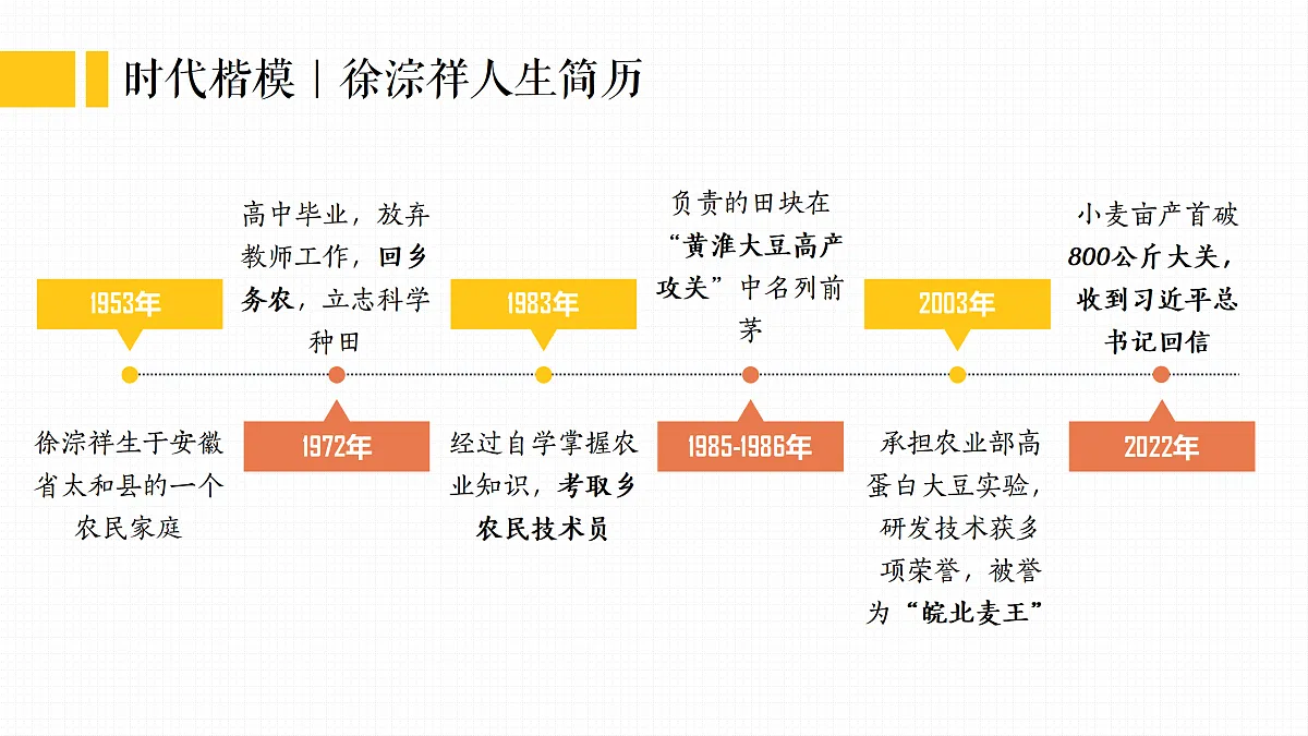 17473158第4页