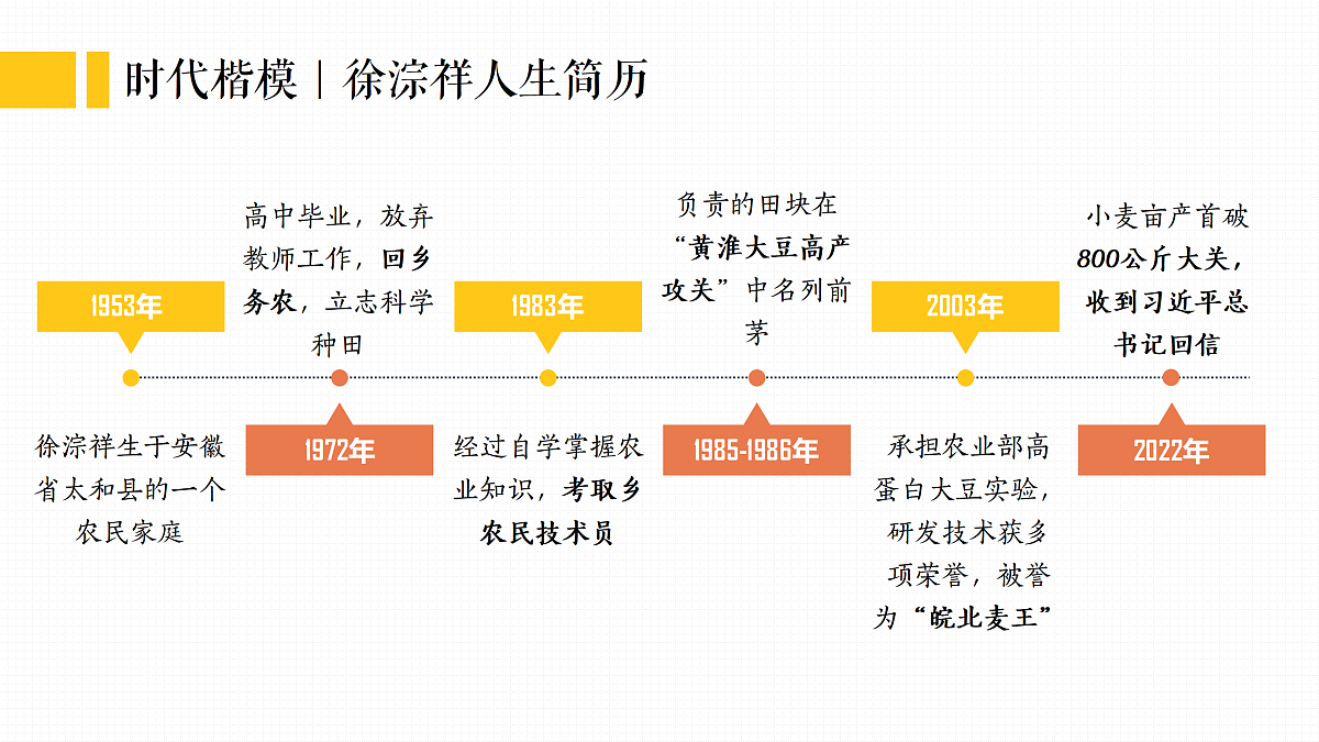 17473158第4页