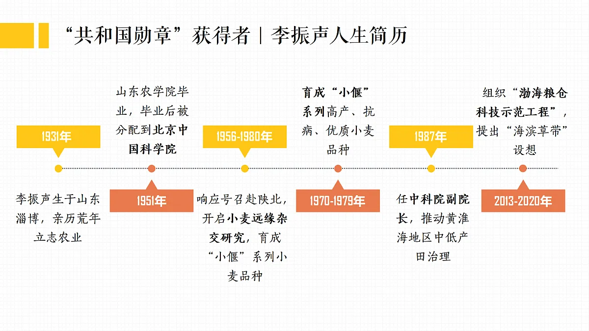 17473158第5页