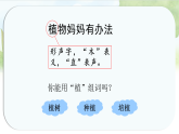 统编版语文二年级上册课件《3.植物妈妈有办法》