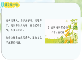 统编版语文二年级上册课件《3.植物妈妈有办法》
