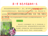 【新教材核心素养】冀少版版生物八年级上册5.1.1 种子的萌发（一、种子的结构）（教学课件+教学设计）