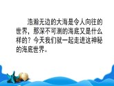 统编版三年级下册语文课件——海底世界 第2课时