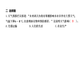 1.8 天气的影响 学案课件（含答案） 教科版科学三年级上册