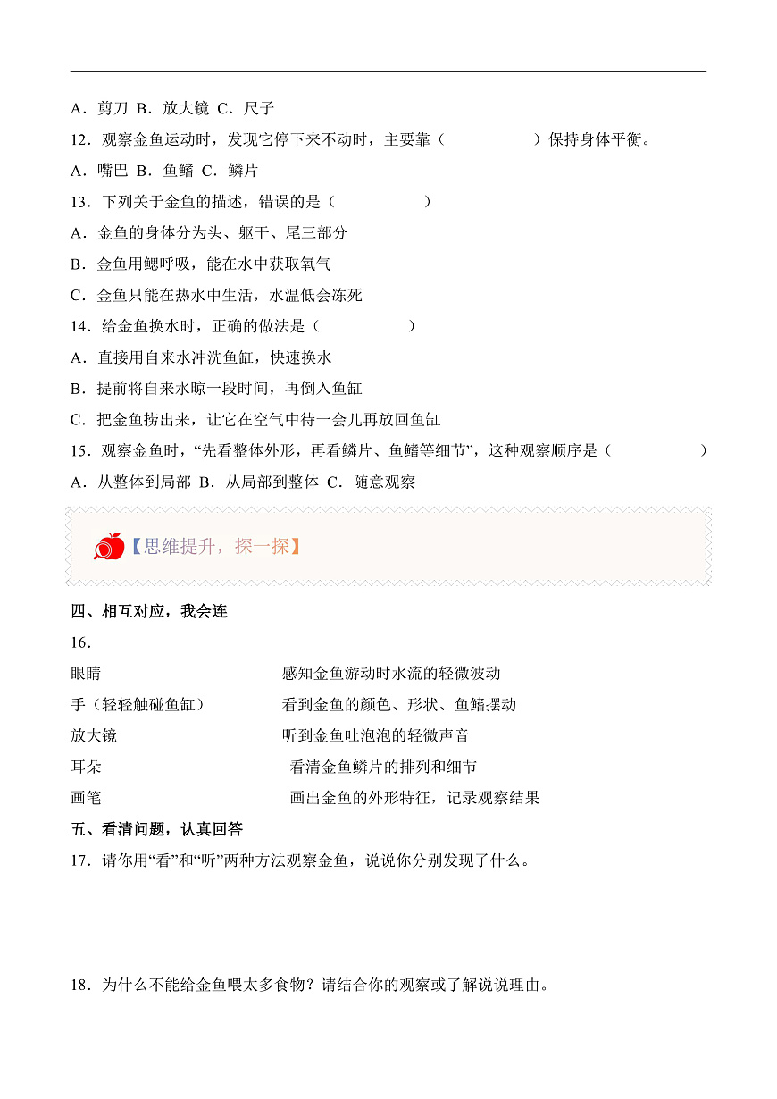 3.7 金鱼（分层作业）科学人教鄂教版一年级上册（新教材）第2页