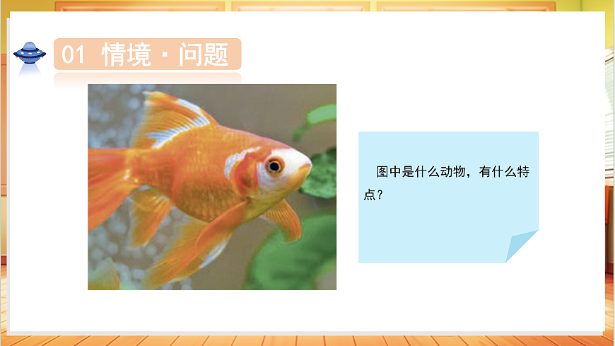 3.7 金鱼（教学课件）科学人教鄂教版一年级上册（新教材）第4页
