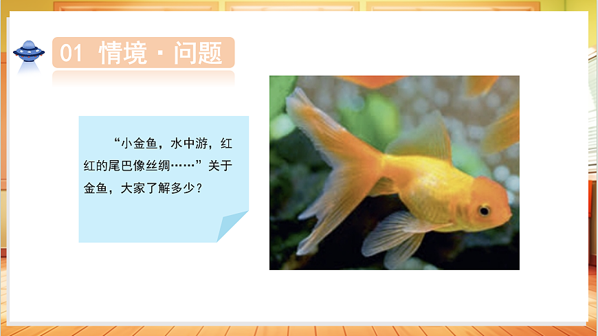 3.7 金鱼（教学课件）科学人教鄂教版一年级上册（新教材）第5页