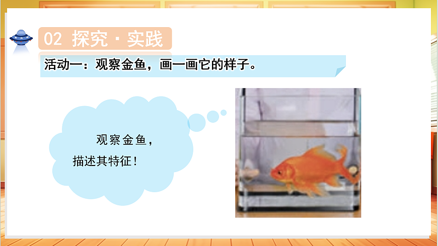 3.7 金鱼（教学课件）科学人教鄂教版一年级上册（新教材）第6页