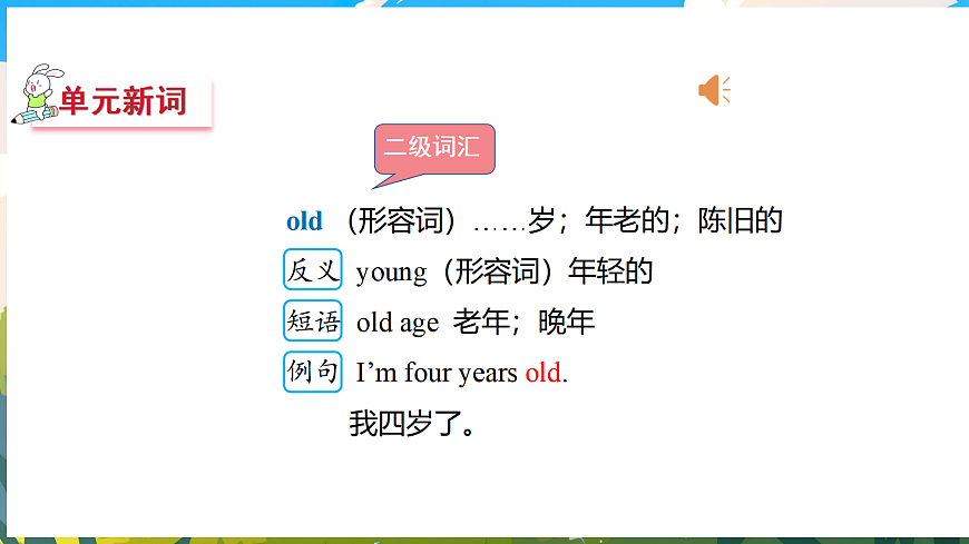 17475011第5页