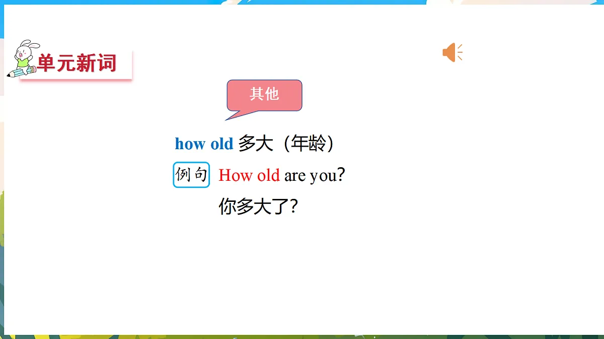 17475011第8页