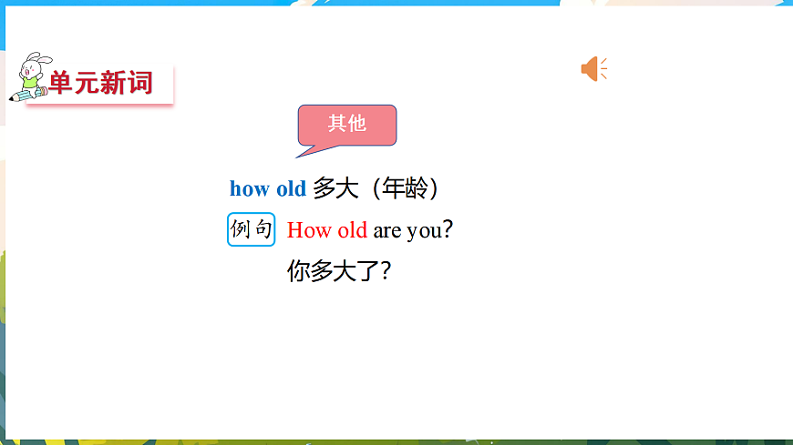 17475011第8页