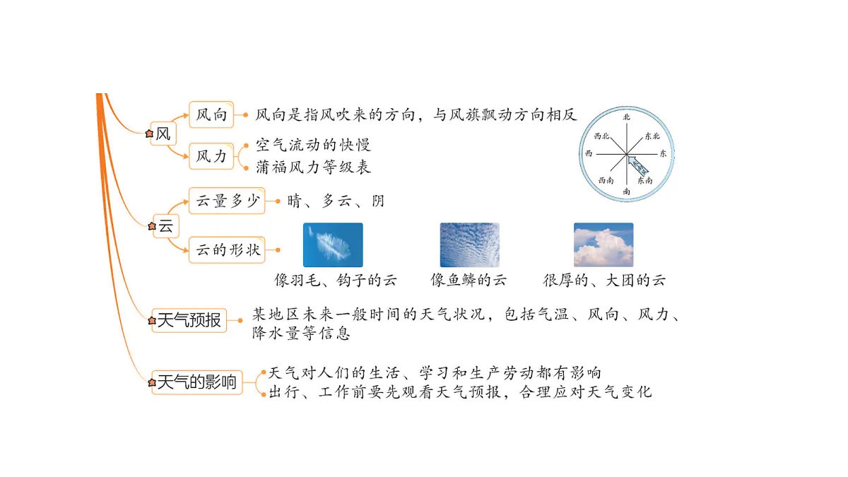17475017第4页