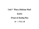 初中英语新人教版八年级上册Unit 5第6课时（Project & Reading Plus）教学课件（2025秋）