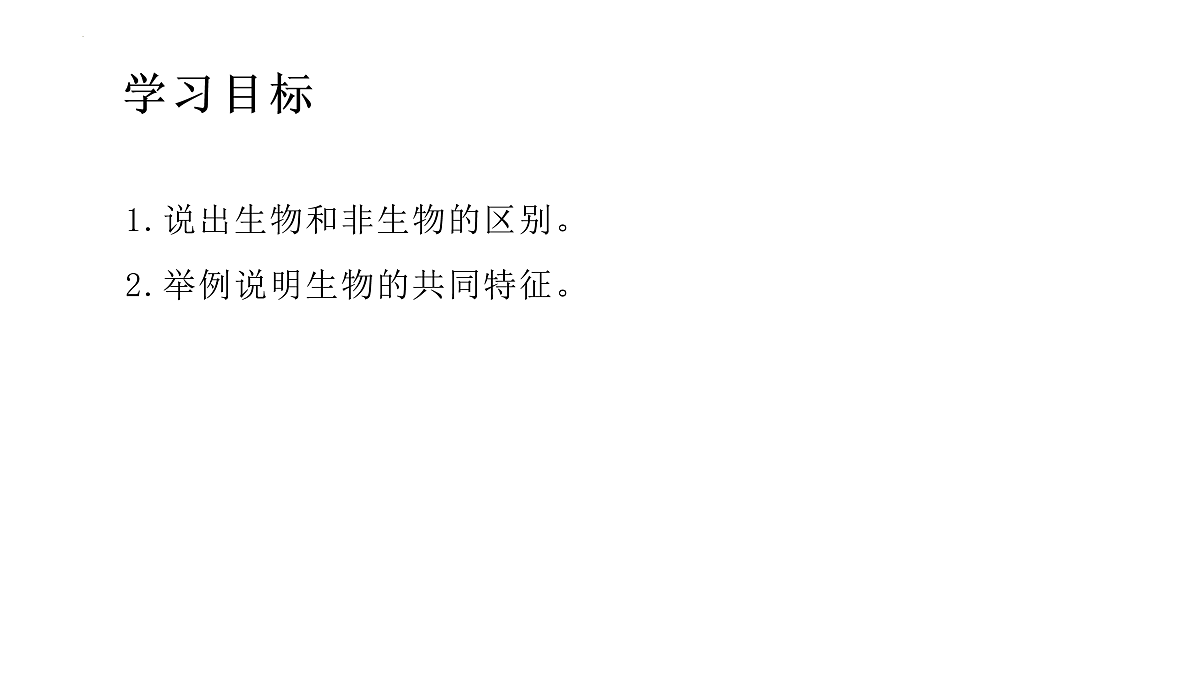 17475196第2页