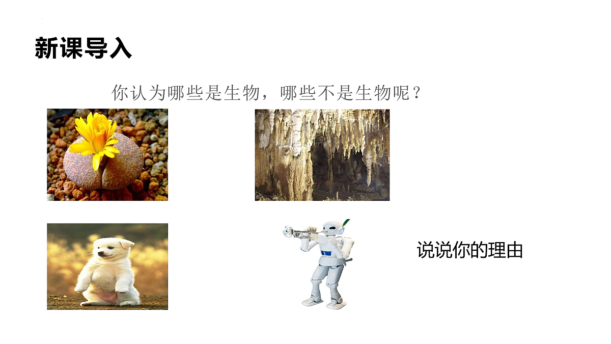 17475196第3页