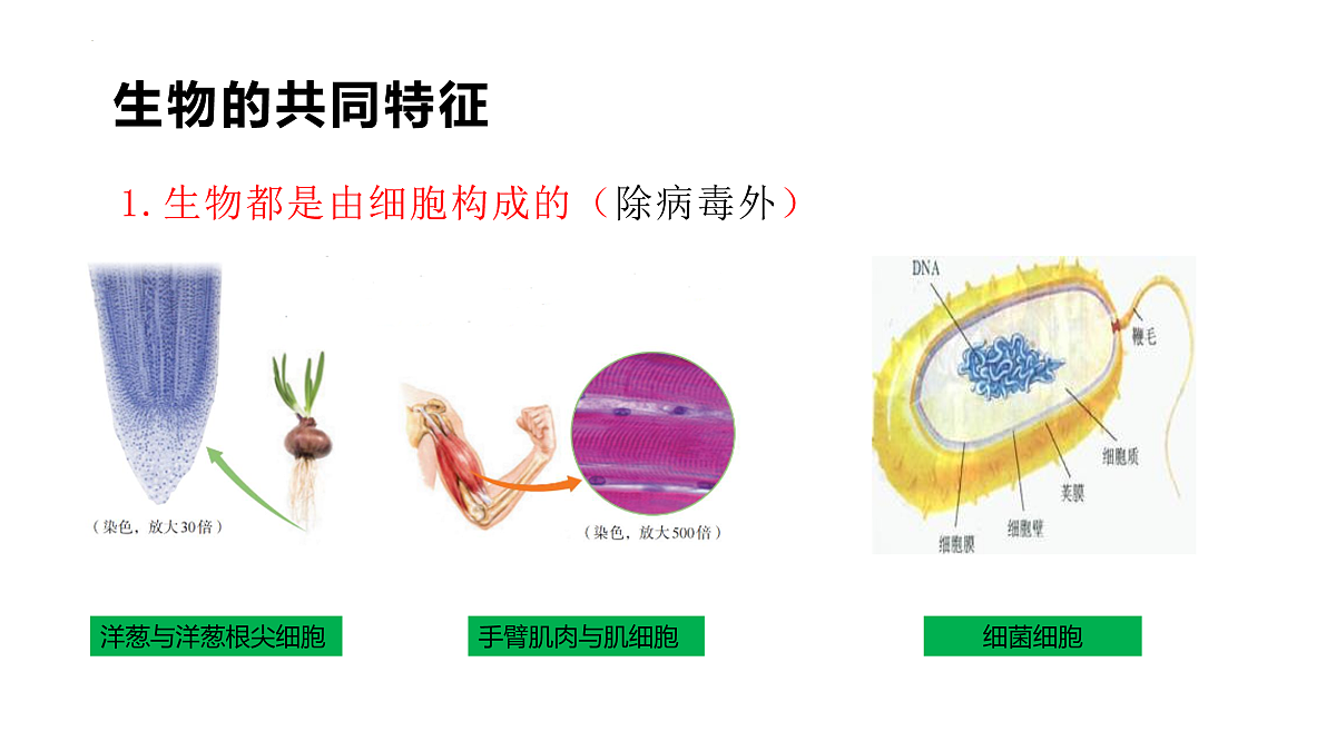 17475196第4页