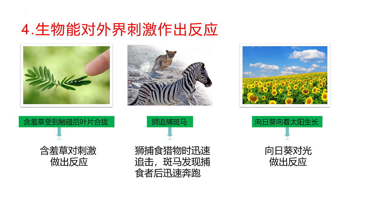 17475196第7页