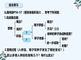 2.3.1胚胎工程的理论基础1课件-2024-2025学年高二下学期生物人教版选择性必修3