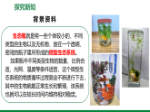 【新教材核心素养】人教版生物八年级上册综合实践项目《设计并制作生态瓶》（教学课件+教学设计）