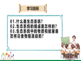 【新教材核心素养】人教版生物八年级上册5.1.2《生态系统的结构和功能》（教学课件+教学设计）