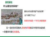【新教材核心素养】人教版生物八年级上册5.1.2《生态系统的结构和功能》（教学课件+教学设计）