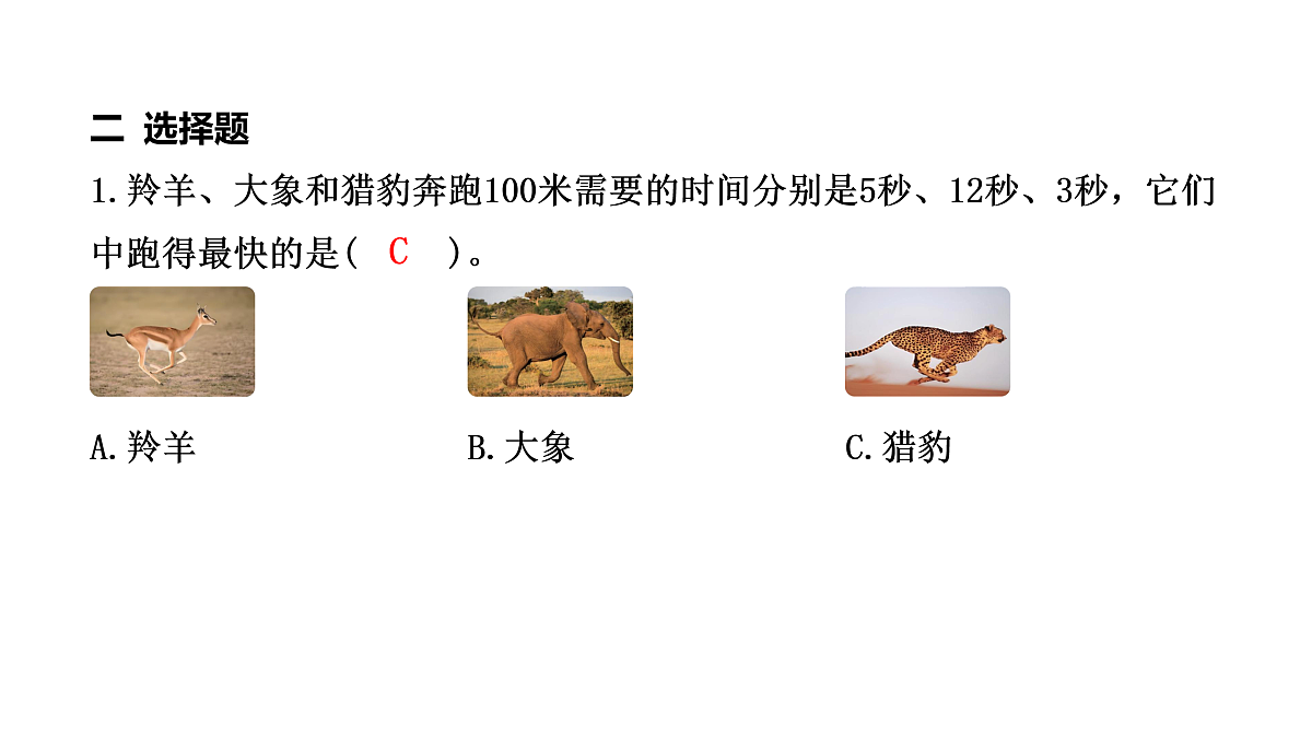 17475274第4页