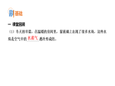 2.2水珠从哪里来 学案课件 （含答案） 教科版科学三年级上册