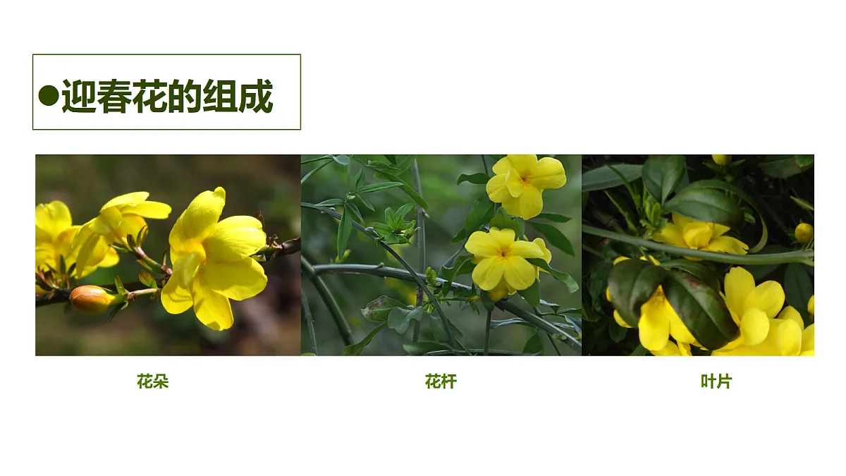 17476607第7页