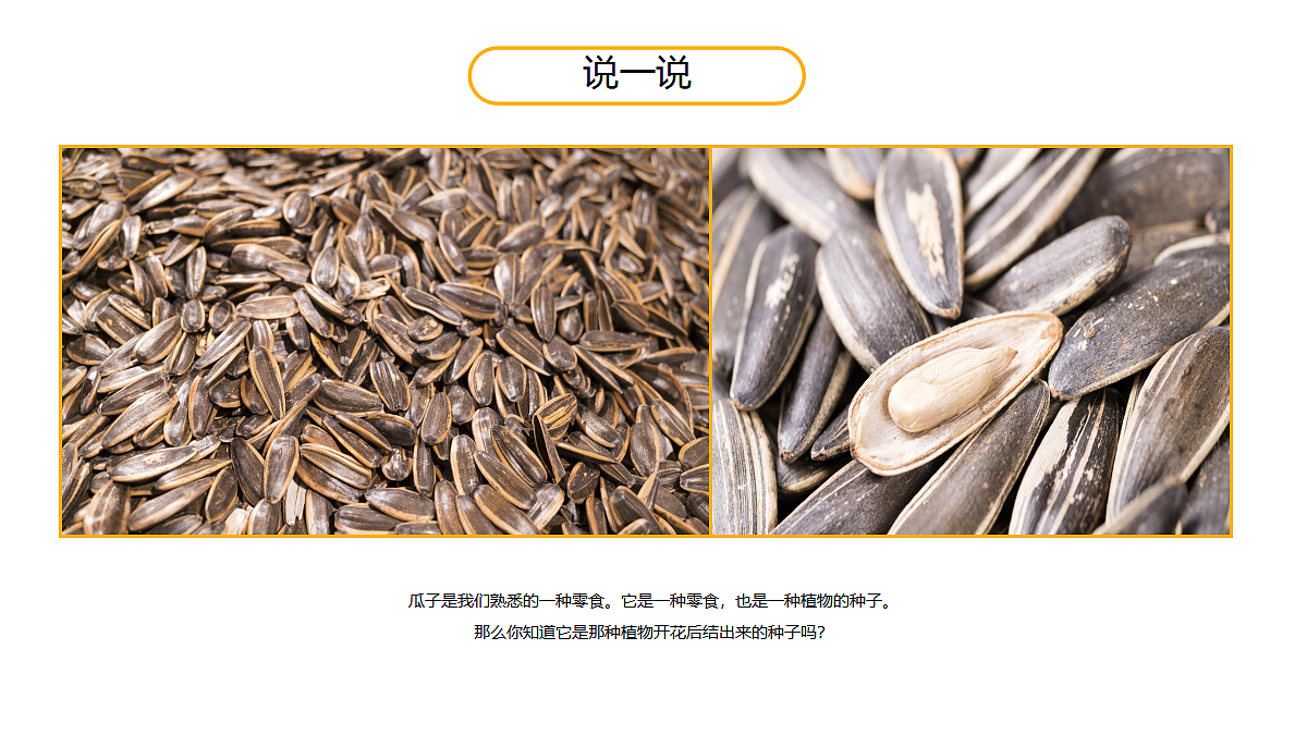 17476618第3页