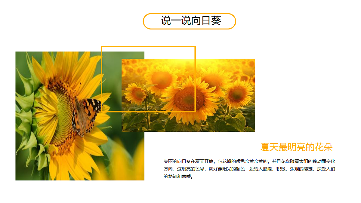 17476618第5页