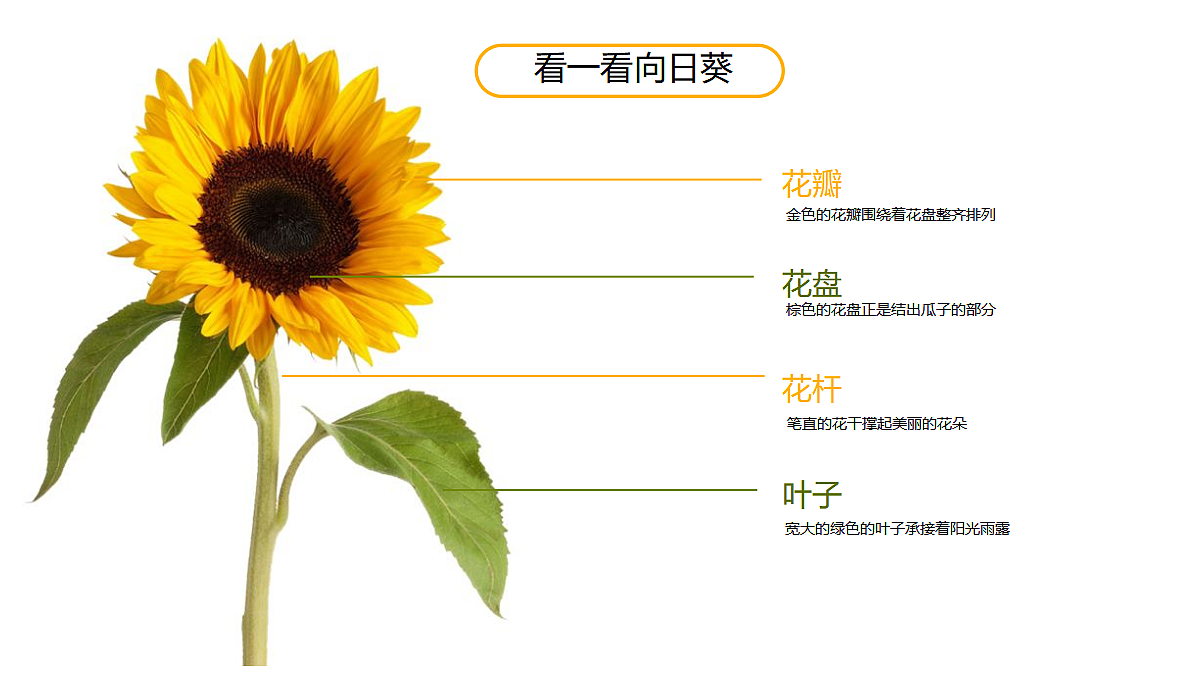 17476618第6页