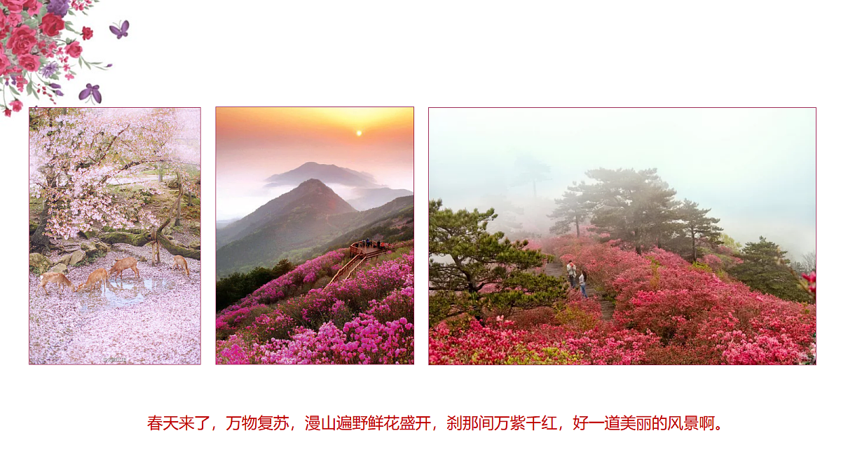 17476621第4页