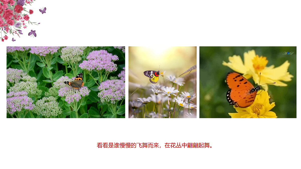 17476621第5页