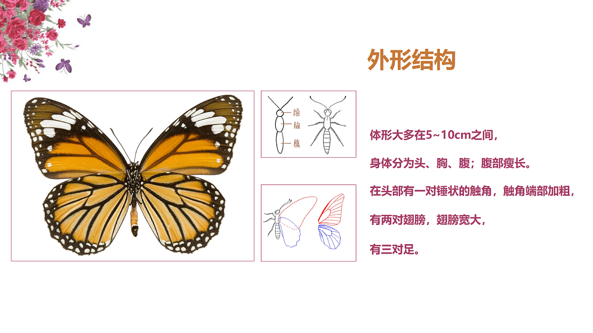 17476621第7页