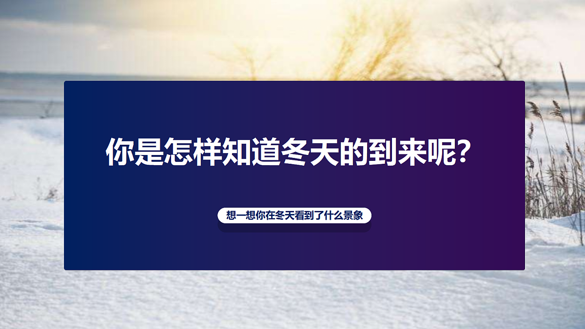 17476622第4页