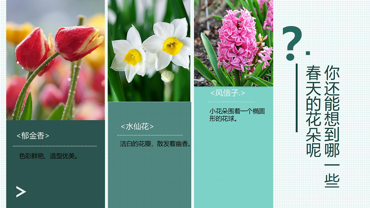 17476625第6页