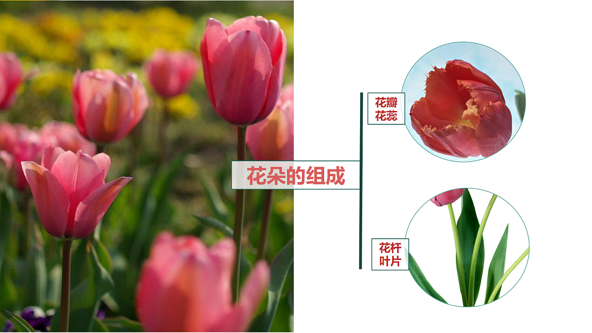 17476625第8页