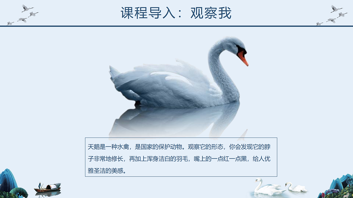 17476626第4页