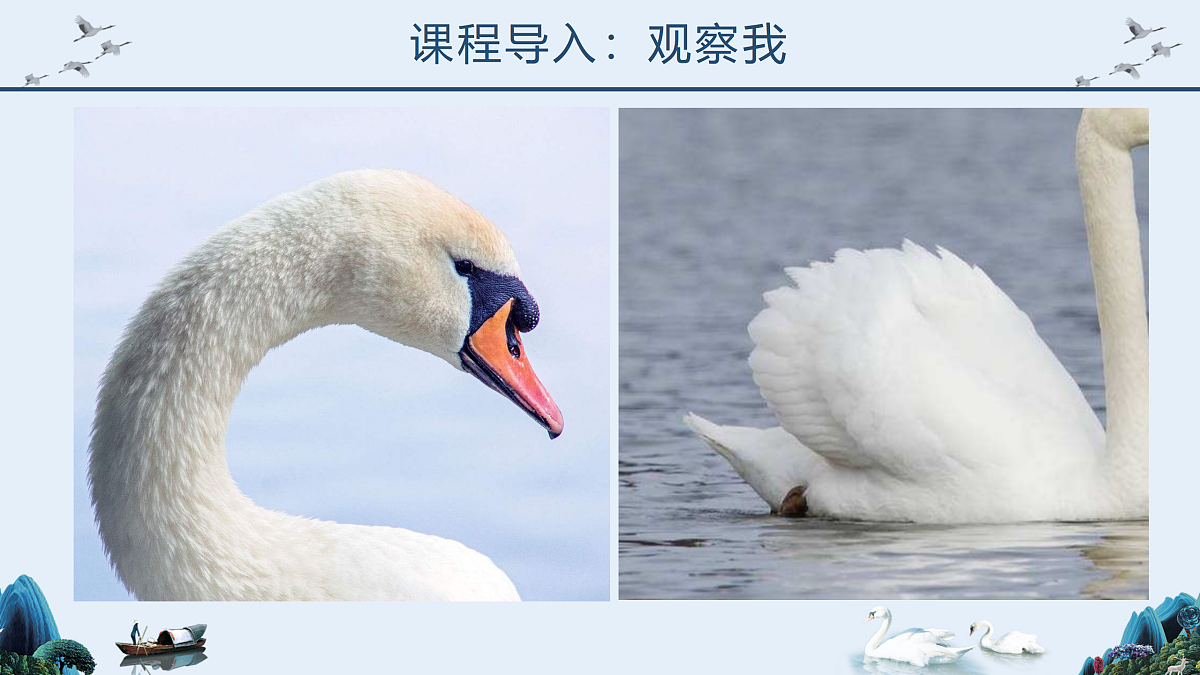 17476626第5页