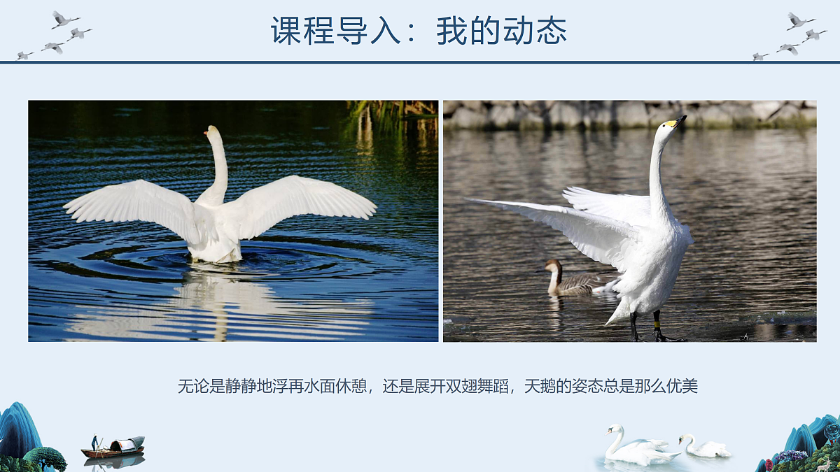 17476626第8页