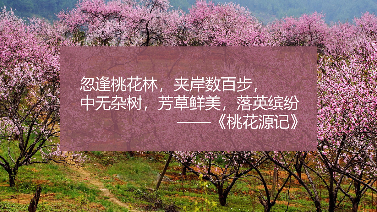 17476627第4页