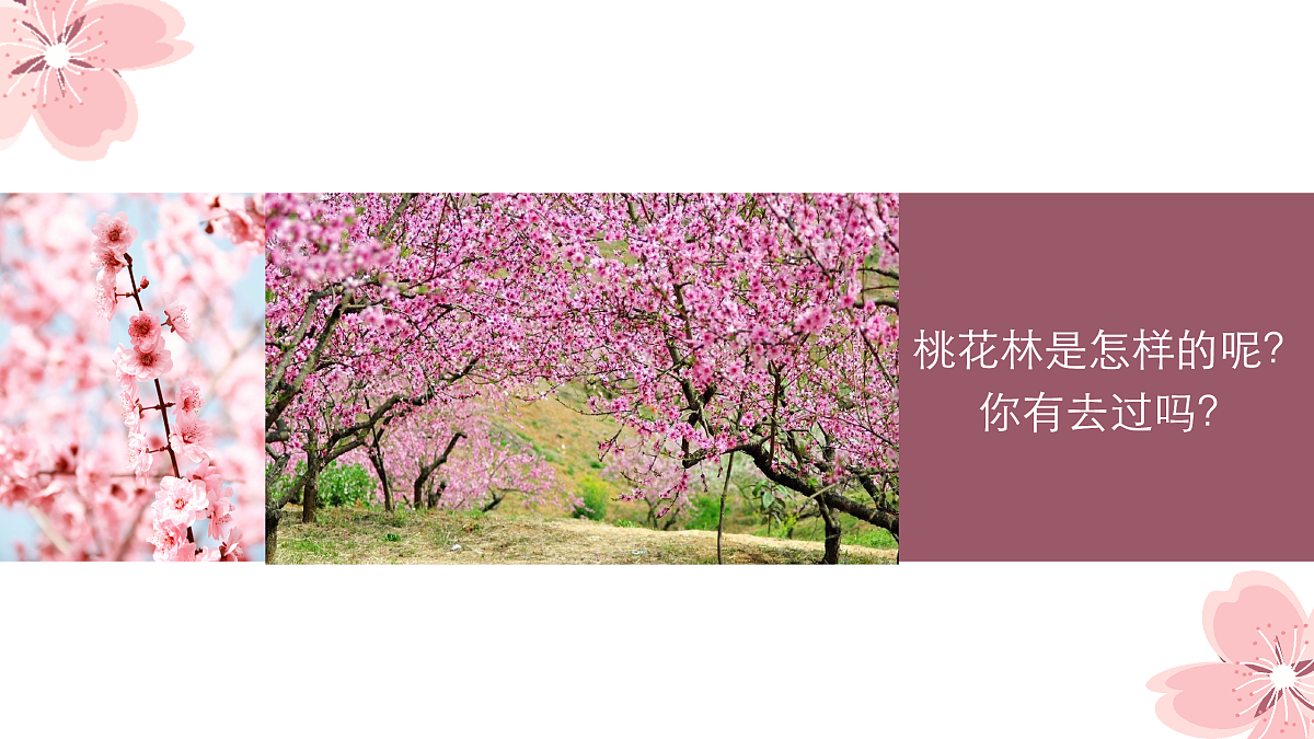 17476627第5页