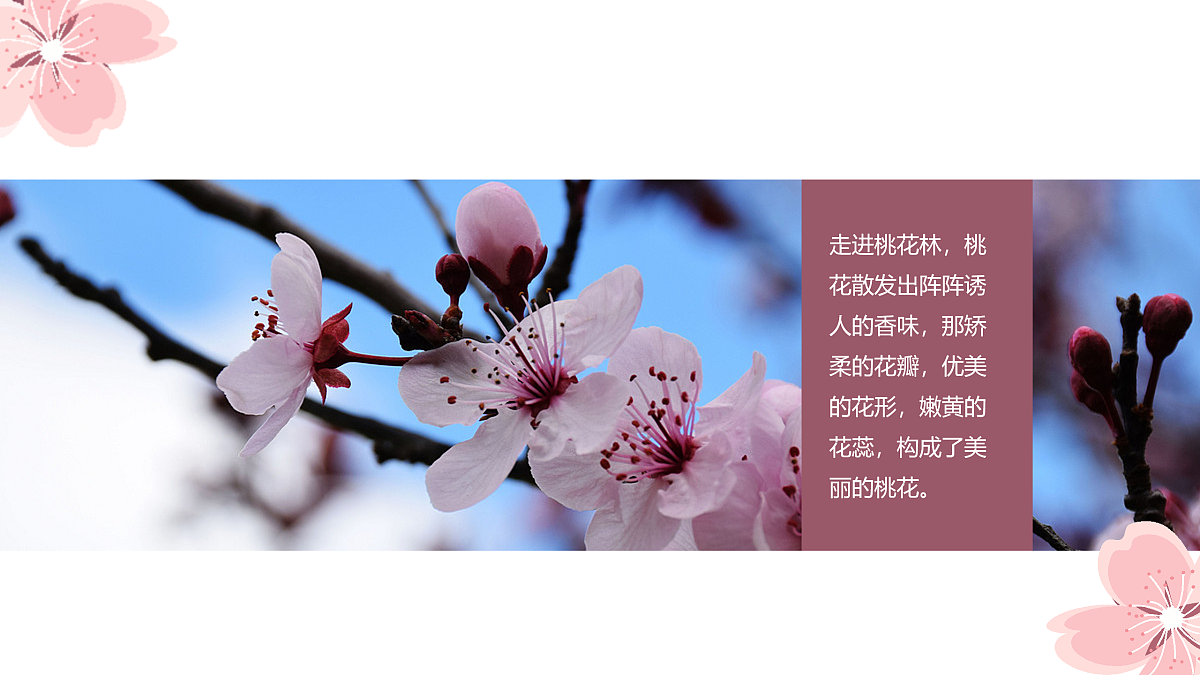 17476627第6页
