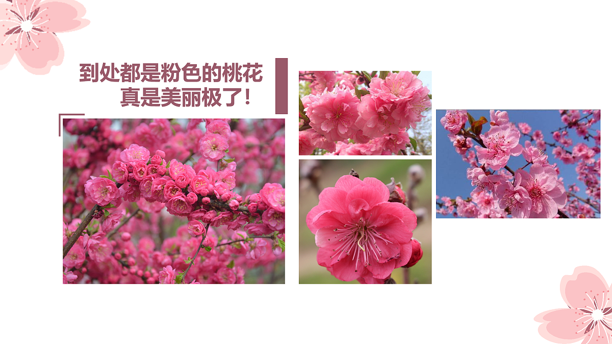 17476627第7页